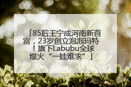 85后王宁成河南新首富，23岁创立泡泡玛特！旗下Labubu全球爆火“一娃难求”