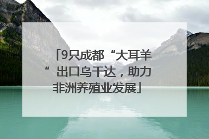 9只成都“大耳羊”出口乌干达，助力非洲养殖业发展
