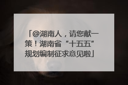 @湖南人，请您献一策！湖南省“十五五”规划编制征求意见啦