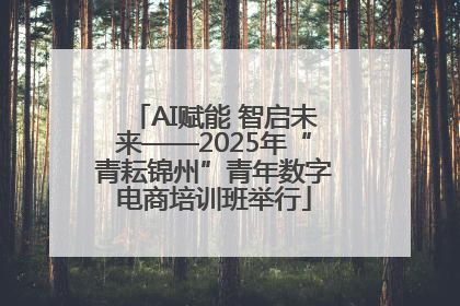 AI赋能 智启未来——2025年“青耘锦州”青年数字电商培训班举行