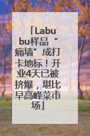 Labubu样品“痛墙”成打卡地标！开业4天已被挤爆，堪比早高峰菜市场