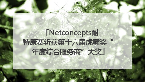 Netconcepts耐特康赛斩获第十六届虎啸奖“年度综合服务商”大奖
