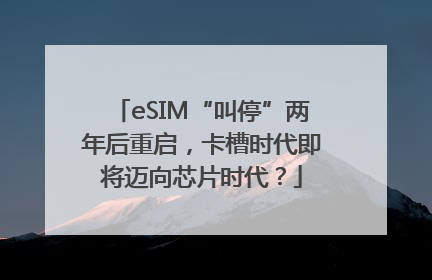 eSIM“叫停”两年后重启，卡槽时代即将迈向芯片时代？